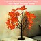 Artificial Fall Lighted Maple Tree 24 LED Thanksgiving Decorations Table Lights Battery Operated for Wedding Party Gifts Indoor Outdoor Autumn Harvest Home Decor